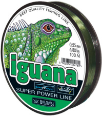 Iguana  fishing line