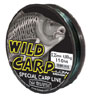 Wild Carp